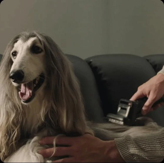 Dreame Z30 Kabelloser Staubsauger - Image 13